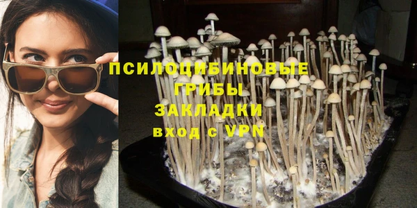 прущая мука Кукмор