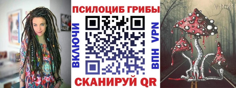 Псилоцибиновые грибы мицелий  Щучье 
